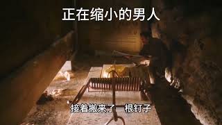 《正在缩小的男人》男人患上了一种怪病，身体竟开始不断缩小！ 