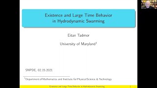 SN Partial Differential Equations and Applications Webinars   Eitan Tadmor