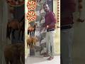 Rounding Pizza To Hathi, Ghoda, Ser, Bagh, Funny Animal Name Magic Video, #shorts #trending #funny