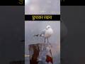 छुपाकर रखना ओशो | Keep it hidden, Osho #oshoworld #oshothoughts