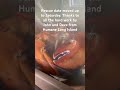 Another Lobster update. #lobster #ocean #rescue