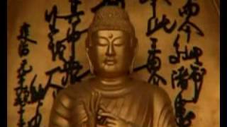 retrace promo youtube