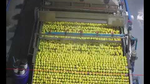 Object Counting for Conveyors and Production Lines: Counting Fruits on the Manufacturing Line