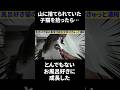 お風呂が好きすぎて自らダイブする進化系保護猫の異常行動 #Shorts #猫 #保護猫 #お風呂猫 #おもしろ猫 #猫は小判