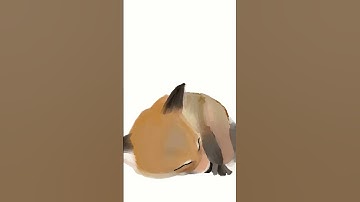 Thumbnail of Pretty little foxie #oldies #coversong #song #vintage #fox #animals
