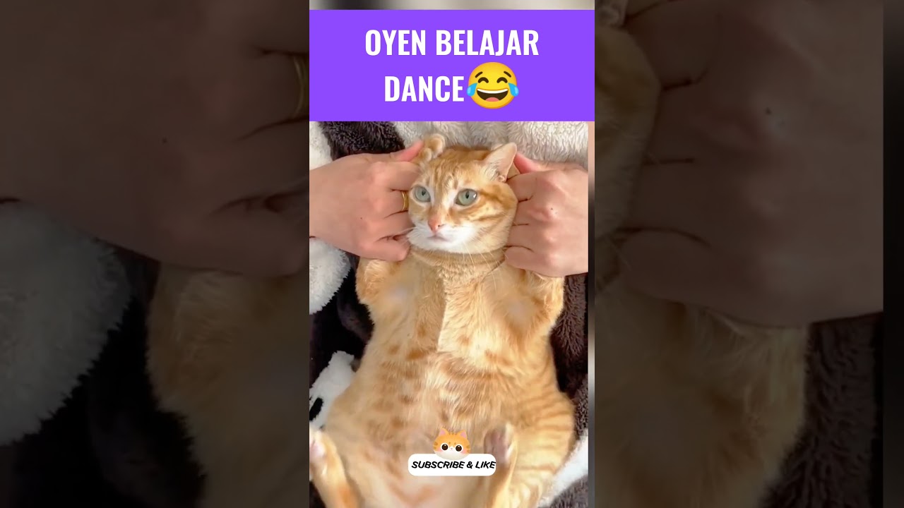Oyen belajar dance😂