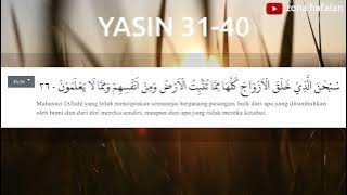04.Hafalan Yasin Ayat 31-40 (Salim Bahanan) | Yasin recitation