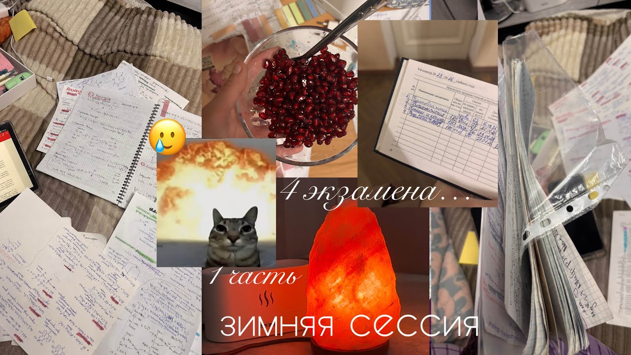 сдаю зимнюю сессию 🥲 1 часть / очень много учебы 📚👀