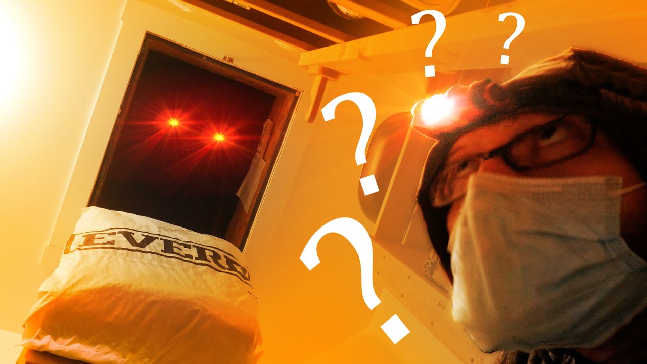 Exploring My Attic for the First Time Ever!!! - CORONAVLOG III