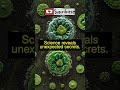 How does a solar eclipse affect microorganisms?