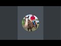 del rancho a la ciudad Zacatecas está en vivo