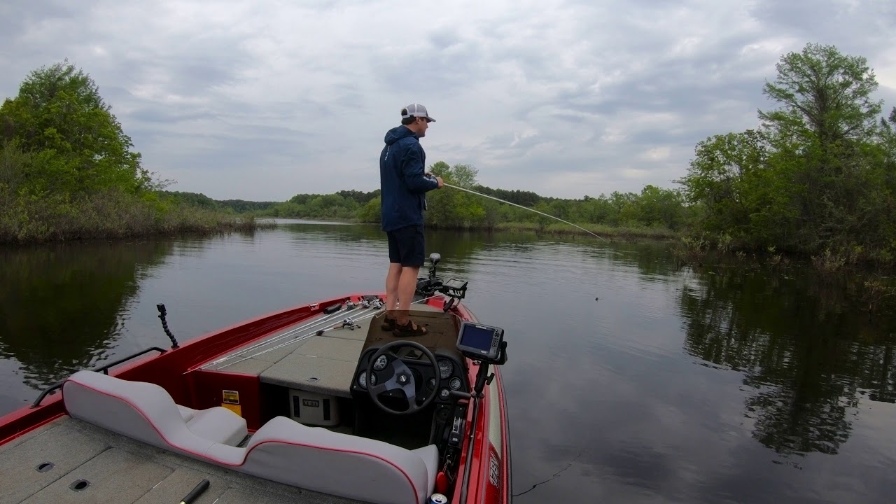 Toledo Bend Bass Fishing Early Spawn, Go Shallow YouTube