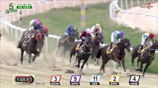 20160925 렛츠런파크 부산경남 5경주 1800m