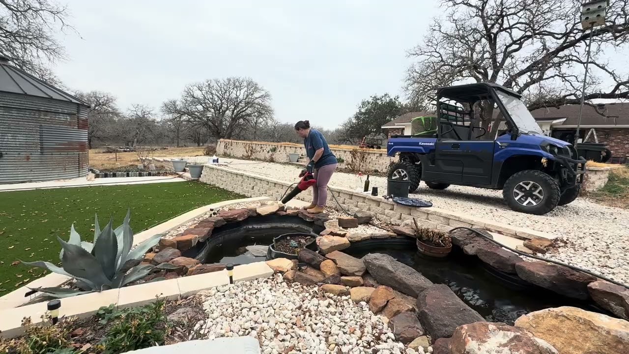Pond & Garden Clean Up 🍂 | Removing Leaves In & Out of the Pond | TX 9a Garden Zone
