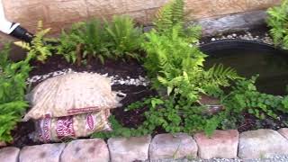 Outdoor Classroom Walkthrough 2020