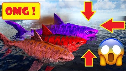 ALPHA & OMEGA MEGALODON | Size Comparison