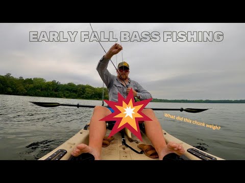 Fall Transition Bass Fishing – Minnesota Largemouth Bass