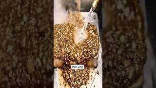 Gold mining made easy #goldenretriever #goldmining #goldprocessing #fypシ゚viral