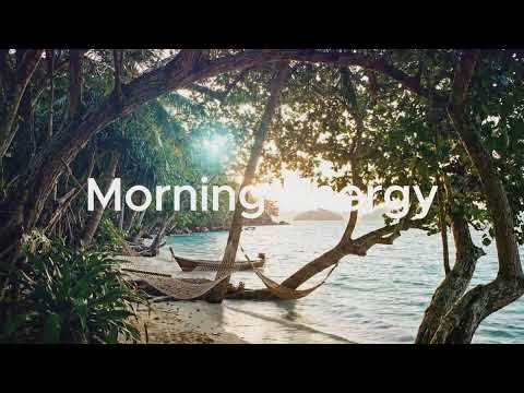Relaxing Morning Music｜Beautiful Tropical Morning｜Daily Chill 🍃