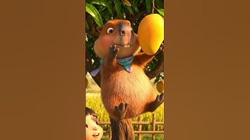 Capy & Các Bạn HÁI XOÀI – CÁI KẾT NGÃ SML!🤣