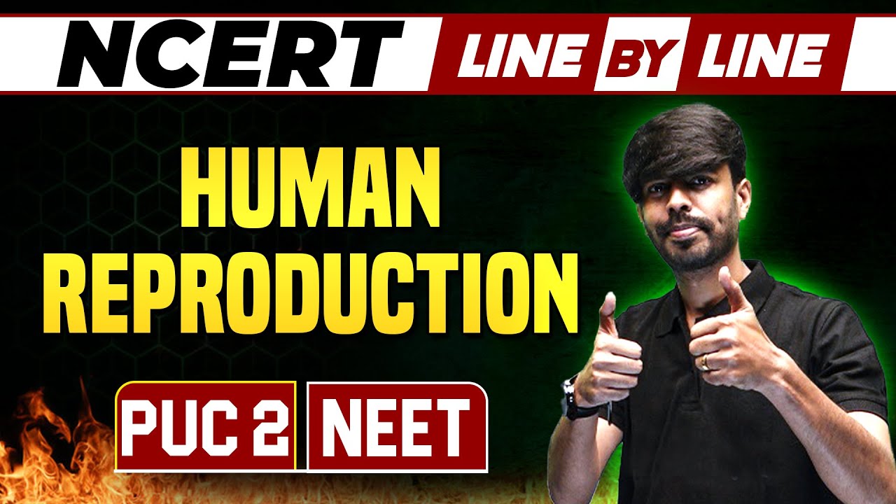 HUMAN REPRODUCTION | NCERT Line By Line | Zoology | PUC 2 / NEET