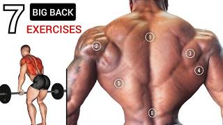 Why Your Back Isn’t Growing 😳❌ | Fix This Back Workout (Fast Results)