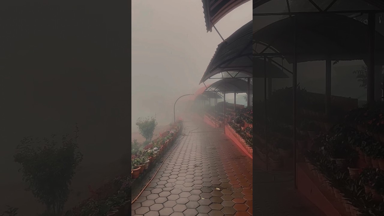 Silu silu chill climate 