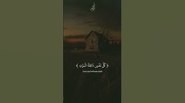 سورة العنكبوت | القارئ : #عبدالرحمن_مسعد #quran #راحة_نفسية #viral #foryou #اجر_لي_ولكم 🤍.