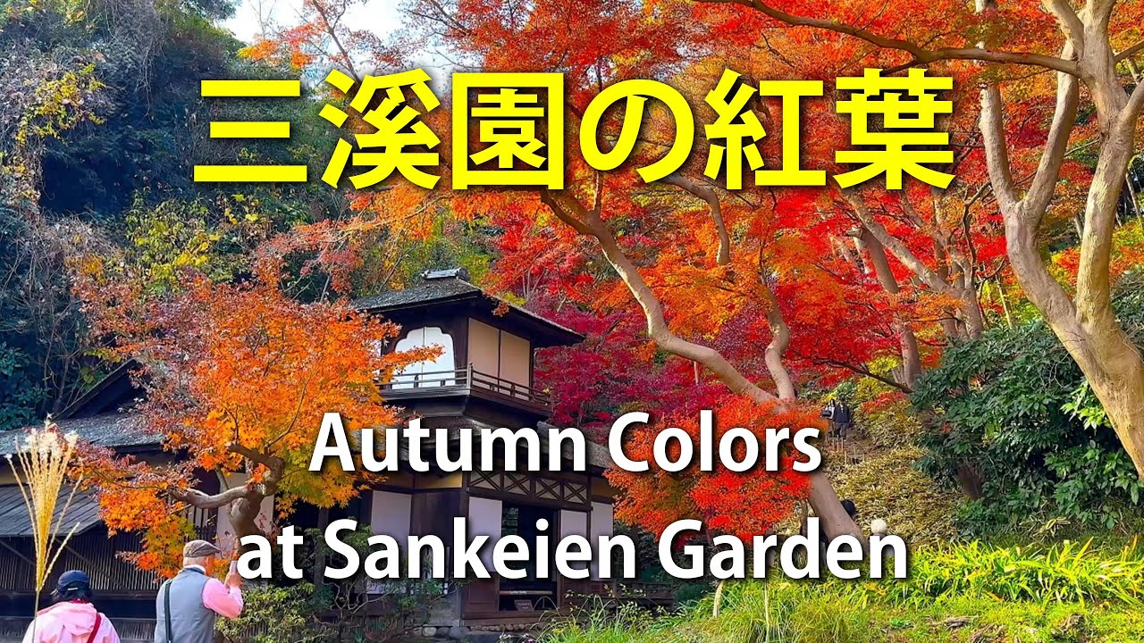 神奈川県・横浜・三溪園】古都の風情を感じる紅葉｜Autumn Colors at