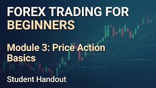 MODULE 3 – PRICE ACTION BASICS