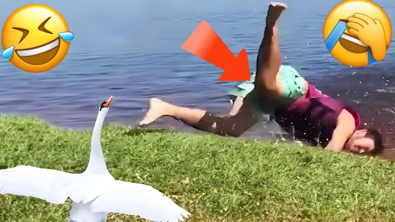 Laugh Till You Drop 🤣 Top Epic Fails That Broke the YouTube