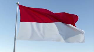 The Indonesian Flag Is Waving In Slow Motion  Free  Footage