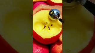 Download Lagu Panen buah apel super segar dan sangat memuaskan dengan alat unik sederhana #shorts MP3 Download Lagu Panen buah apel super segar dan sangat memuaskan dengan alat unik sederhana #shorts MP3
