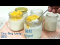 酸奶制作短片 🎥Homemade yogurt