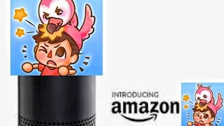 Introducing Amazon Flamingo