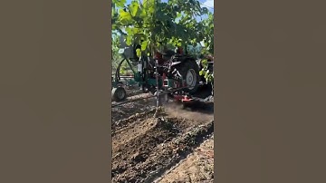 Advanced machine for Weeding in vineyards #shorts