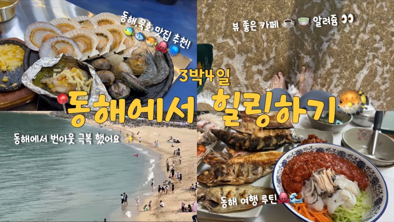 🐠🦀동해 미친 맛집 투어! 🌊바닷가뷰+끝판왕 해산물 먹방 ✅ | 동해 여행 이렇게 하면 돈 아깝지 않아요😏| 현지인이 추천한 숨은 동해 묵호 맛집 | 분위기 좋은 동해 카페 추천