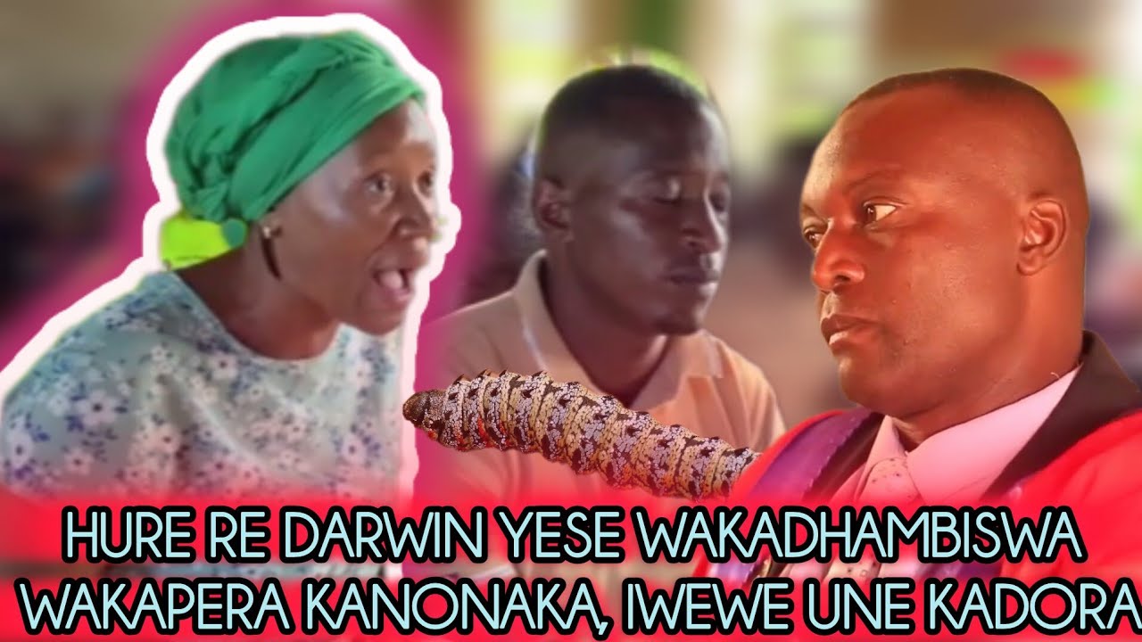 CHIEF NYAMAROPA MA1 URI HURE RE MT DARWIN WAKADHAMBISWA NHASINGENI NE DARWIN YESE | IWEWE UNE DORA