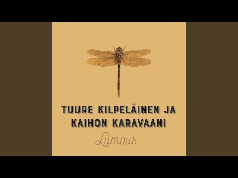 Video: Kun toinen ajoneuvo ohittaa?