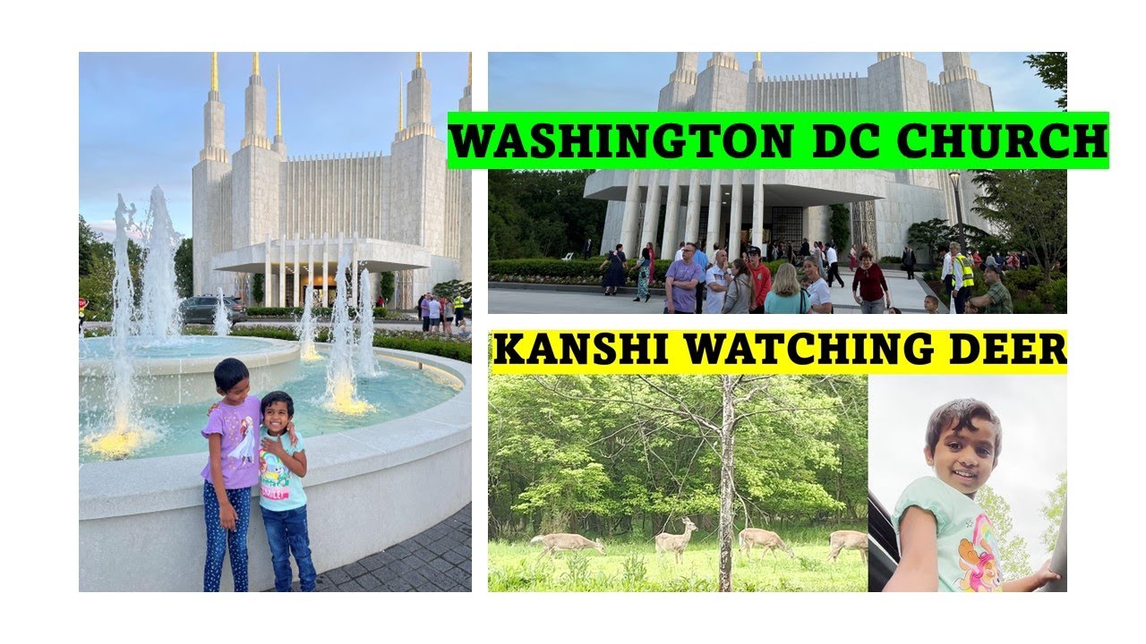 Washington DC Church Open House || Kanshi Watching Deer