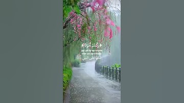 ﴿ كَيْفَ تَكْفُرُونَ بِٱللَّهِ ﴾سورة البقرة – الآية 28  للشيخ ياسر الدوسري #ارح_قلبك #القرآن_الكريم
