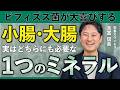 腸活の成果が出ない理由はコレ！見逃しがちな栄養素とは？