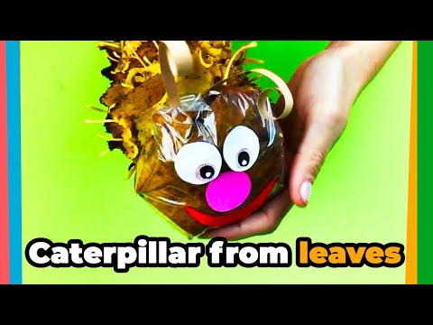 Caterpillar made of leaves! Great Autumn DIY