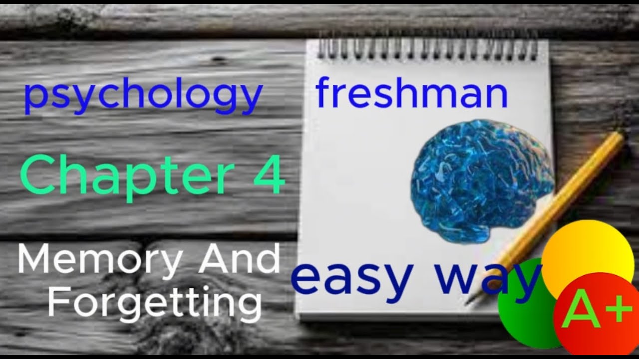 psychology freshman chapter 4 / memory and forgetting / seifu on ebs ...