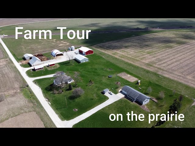 David Snell - Prairie Farm