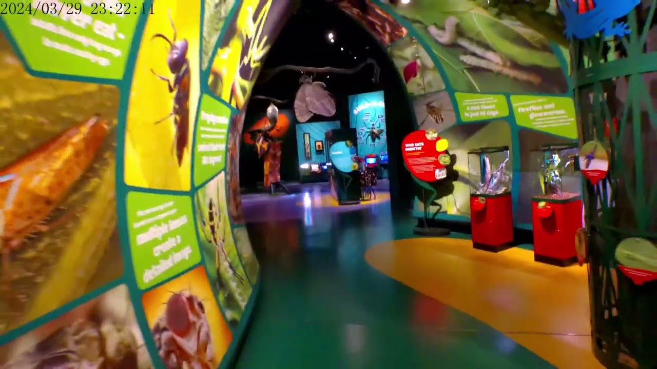 Audubon Aquarium New Orleans Louisiana Insectarium Tour.