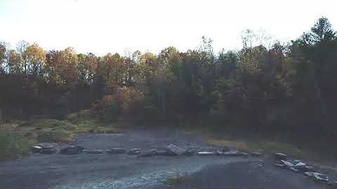 The Fossil Forest in Autumn: Clip F