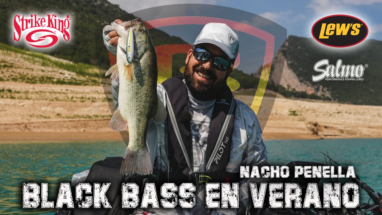 😎 BLACK BASS EN VERANO 😎  ***FOX RAGE FISHING TV***