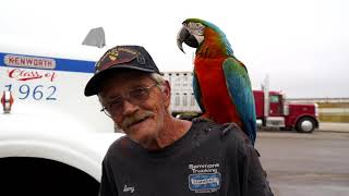 Larry and Muggsy: an OTR trucker and his Macaw