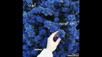 اسماء ذكور من القران الكريم 💗✨